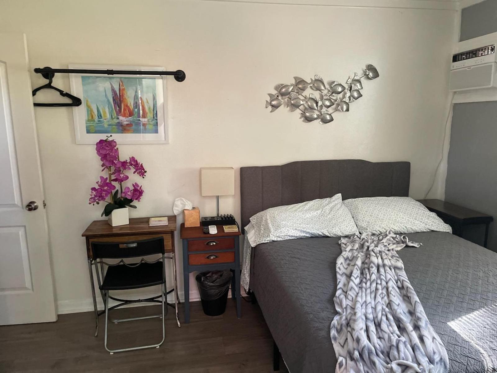 Lovely Studio Apartment With Kitchenette. Tampa Exterior foto