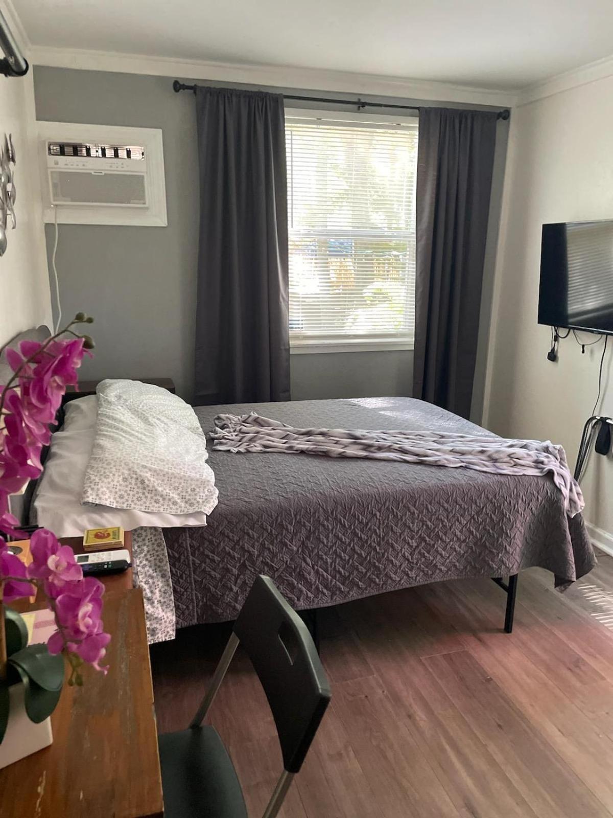 Lovely Studio Apartment With Kitchenette. Tampa Exterior foto